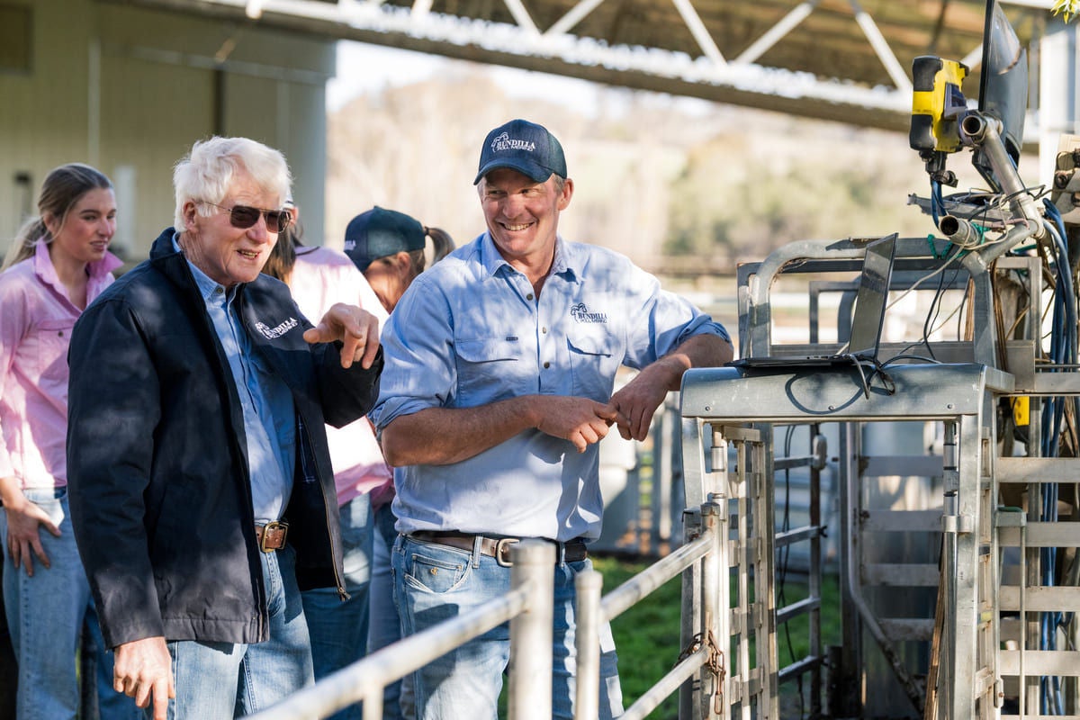 Bundilla Poll Merino Stud is underpinned by a strong family legacy.