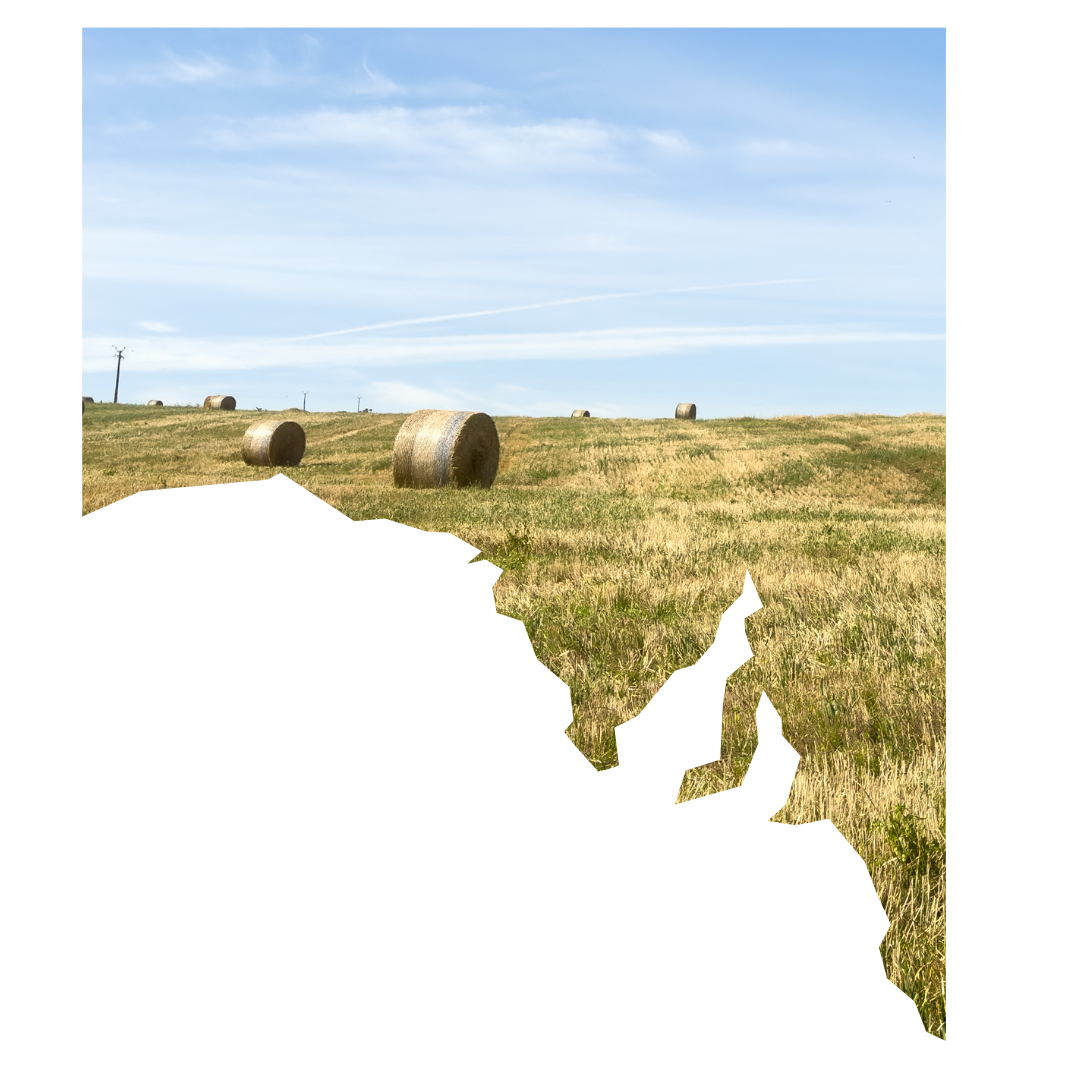 Land Values Outlook - web version - 4