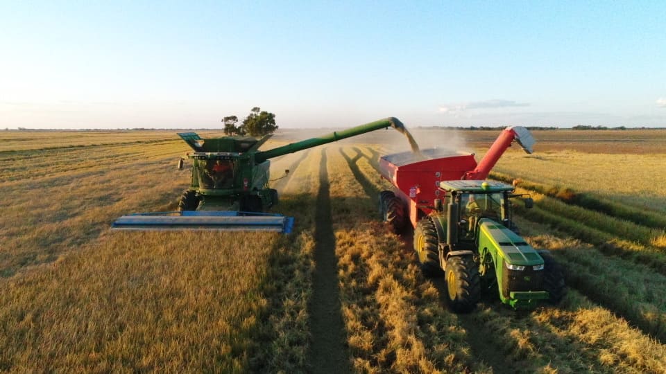 The Hollins family has been at the forefront of rice growing progression for generations