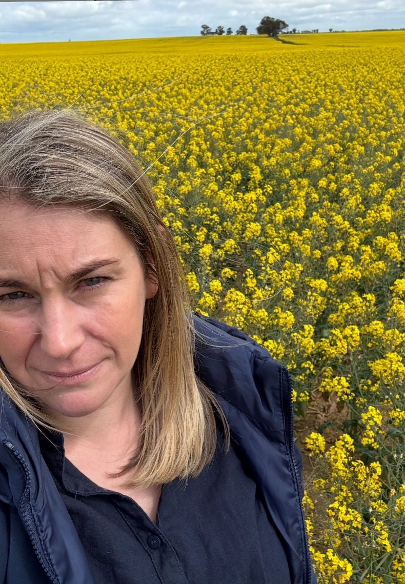 Cathy is passionate about agriculture, and helping local clients succeed. 