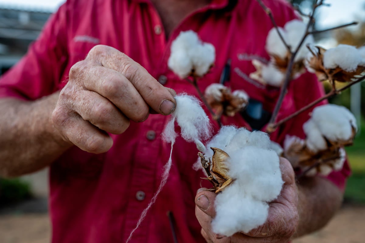 Integrating nature and profit for sustainable success