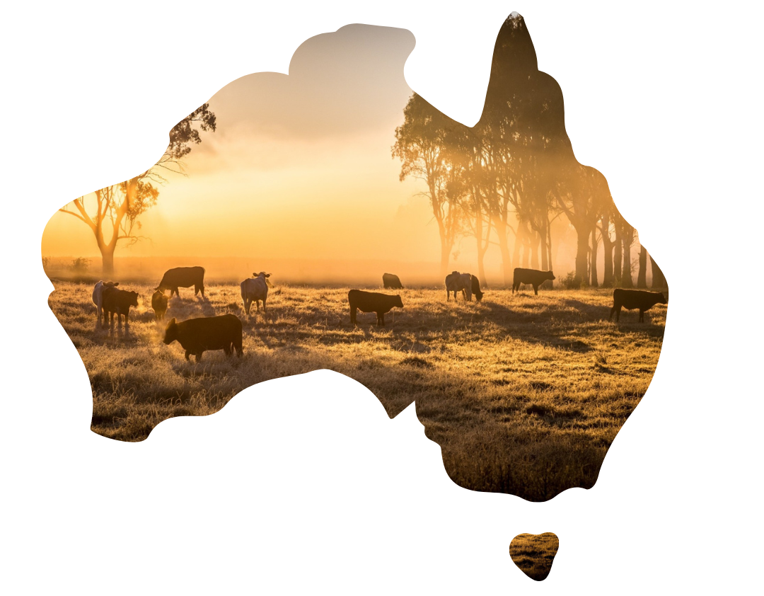 Land Values Outlook - web version - 1
