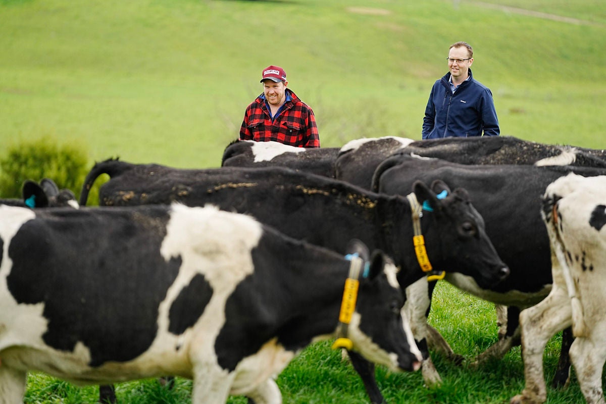 Gippsland Senior Rural Manager, Tony Platt, with local dairy farmer, Tim Morley.