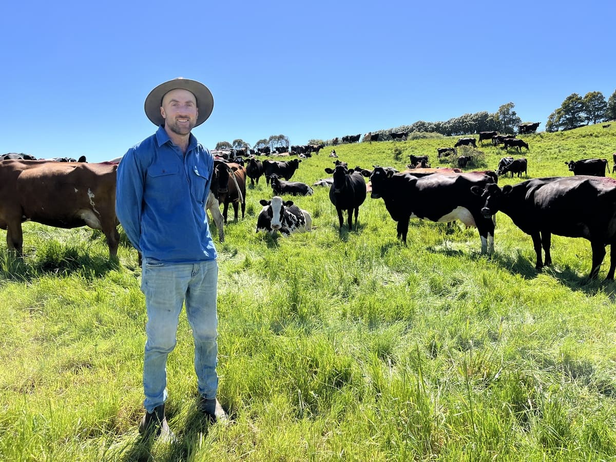 Mark Griffin exemplifies the modern, next-gen dairy producer driving the industry forward. 