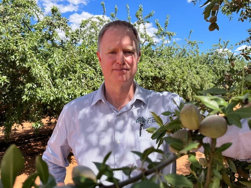 Riverina Almond orchards’ power ahead for a sustainable future