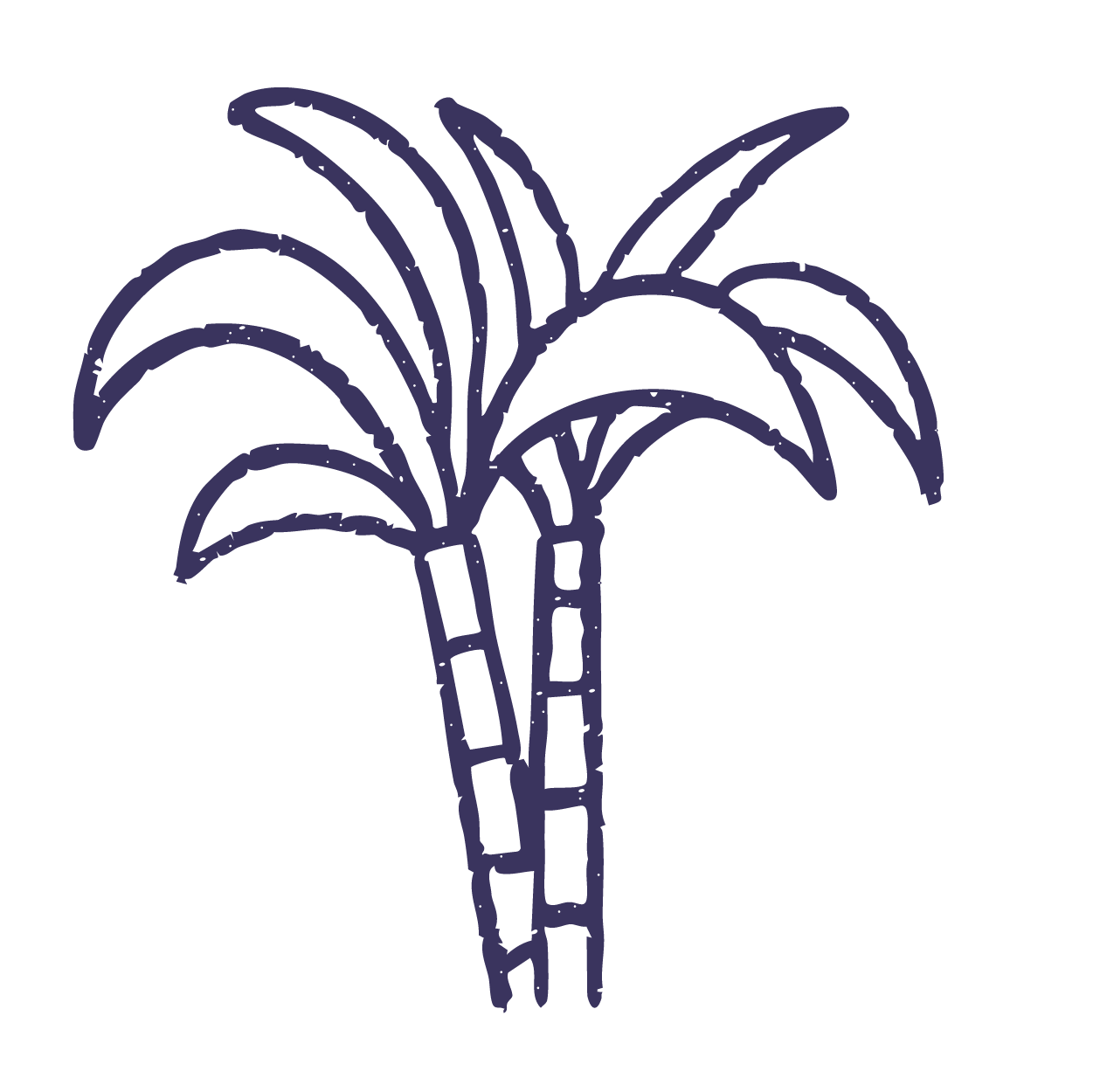 sugar icon