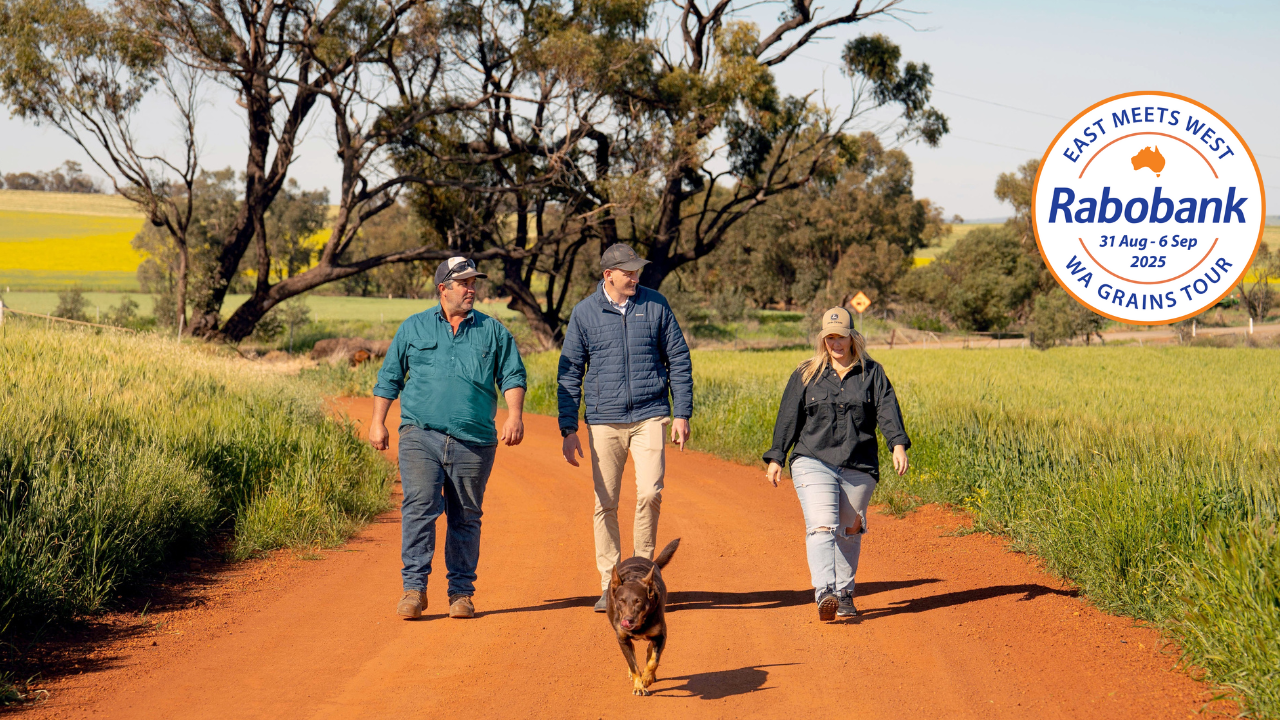 grains tour 2025