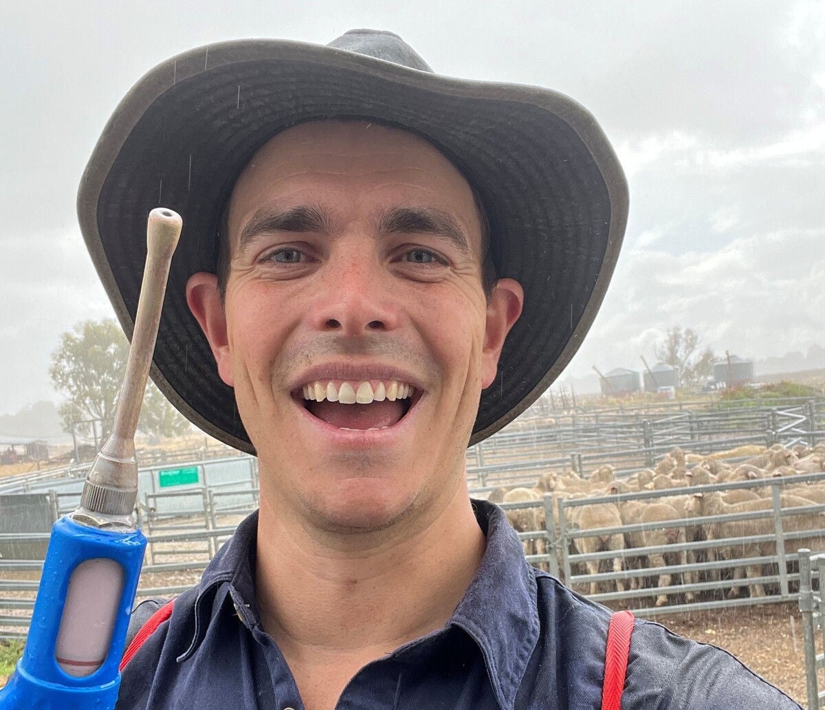 Tom ‘on the tools’ drenching sheep in his spare time