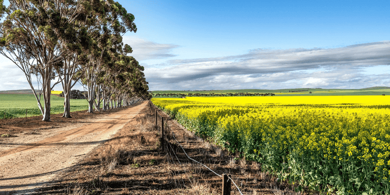 Rabobank Ag Land Report 2026