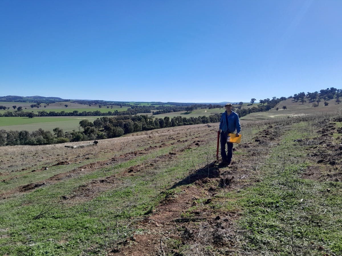 Environmental Plantings project off the ground at Gundagai