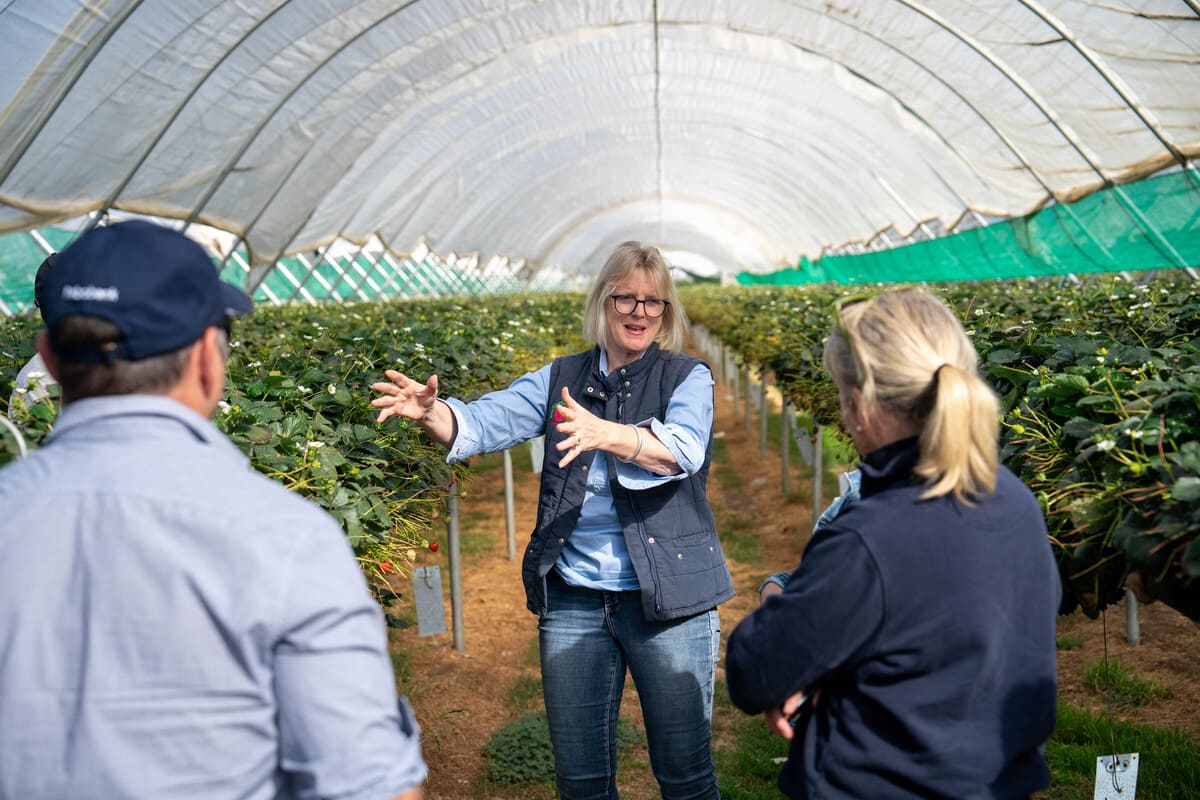 Hearing from Kate Sutherland during a tour of Burlington Berries