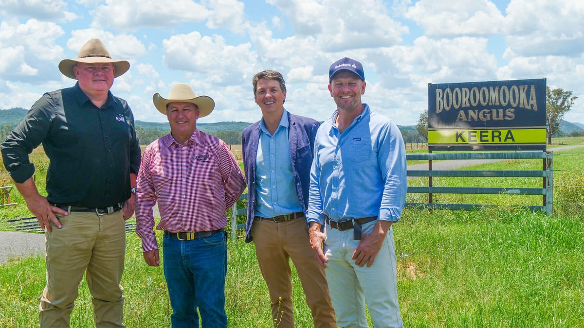 Angus Australia CEO, Scott Wright, Sinclair Munro, Rabobank NSW State Manager, Toby Mendl, and Armidale Area Manager, Scott Neilson