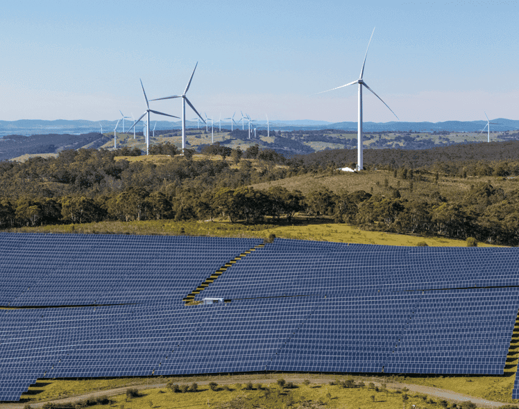 Partnering for Growth Across Food, Agriculture & Energy