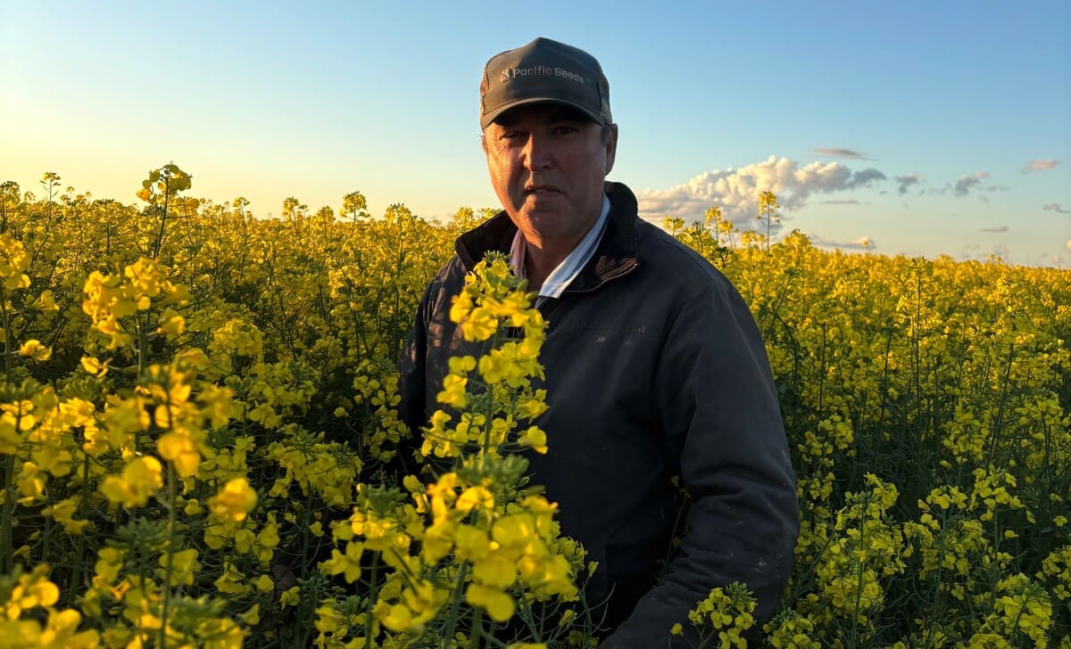 Kane in his canola crop