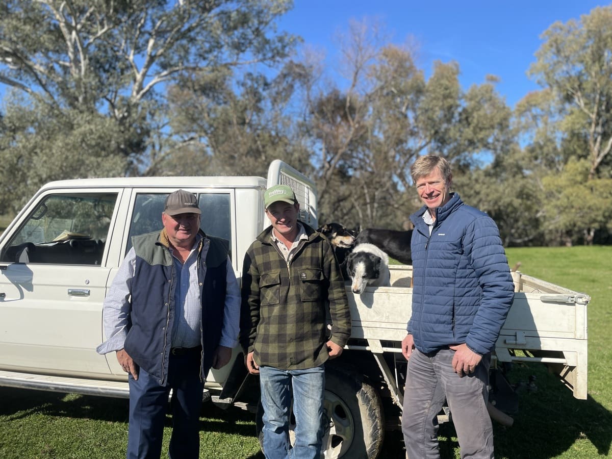 Geoff, Aaron and Ivan on-farm