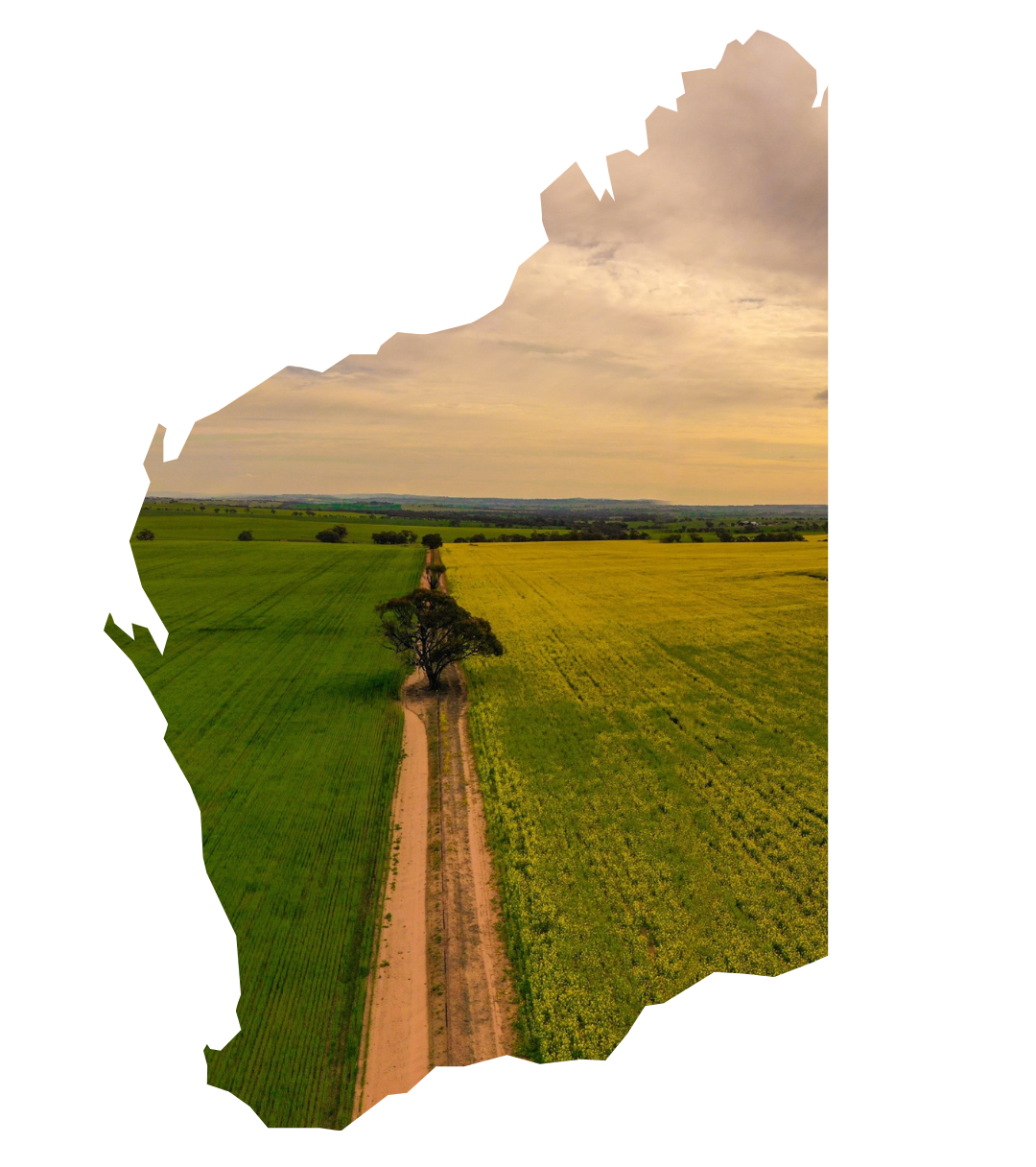Land Values Outlook - web version - 7