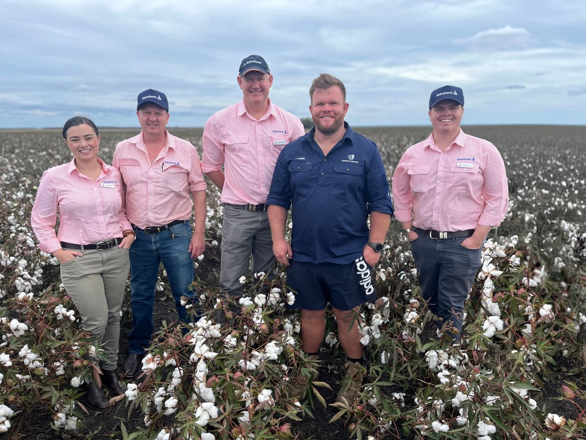 Tyson with some of Rabobank’s Queensland team at a recent on-farm field day