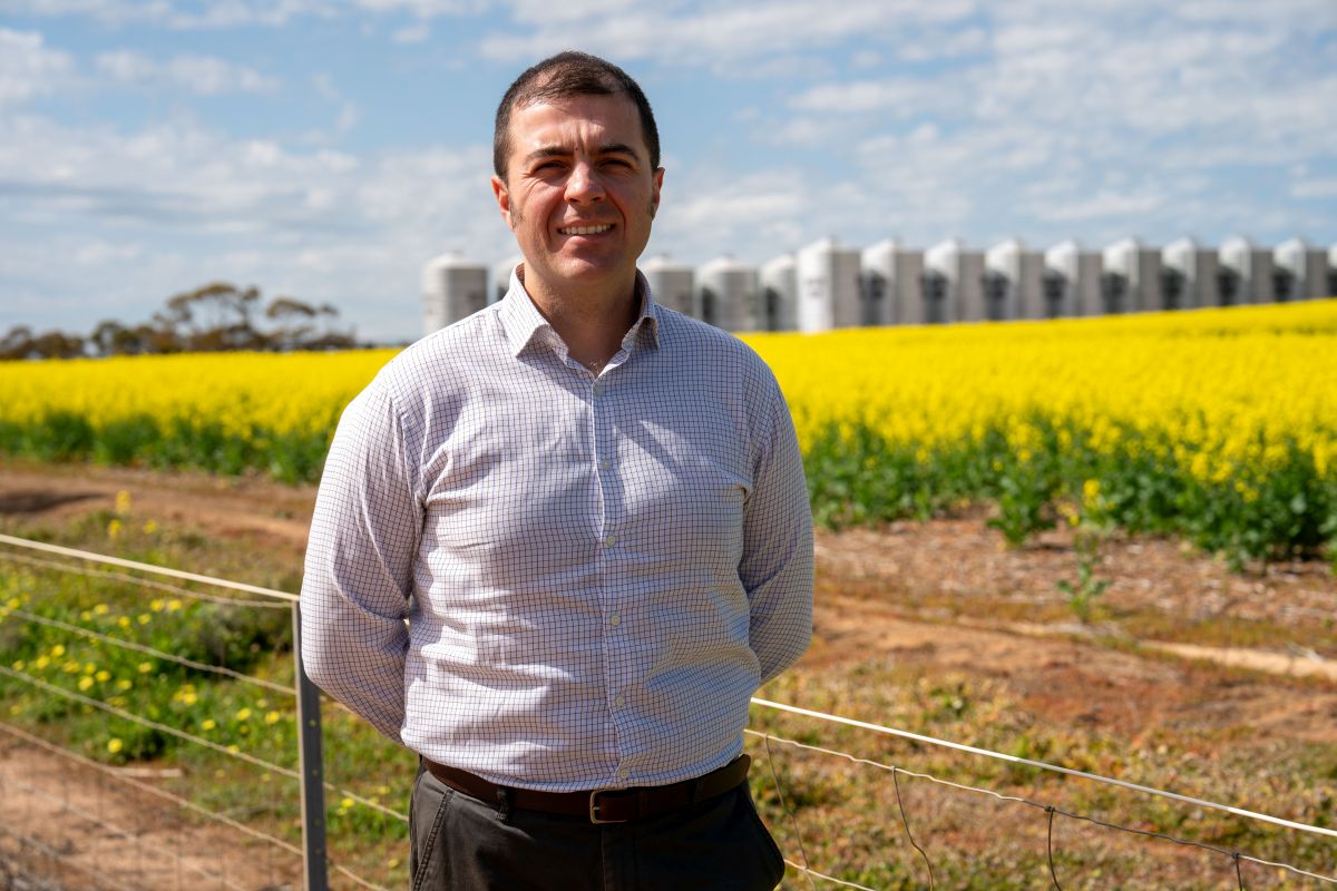 RaboResearch senior grains and oilseeds analyst Vitor Pistoia 