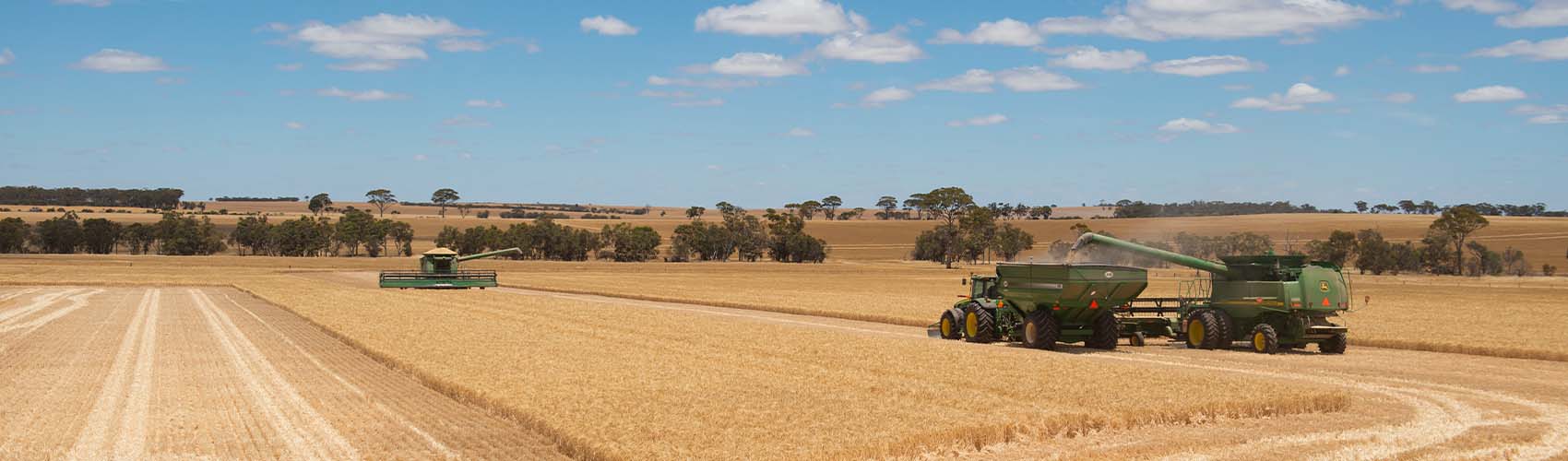 Narrogin Branch 