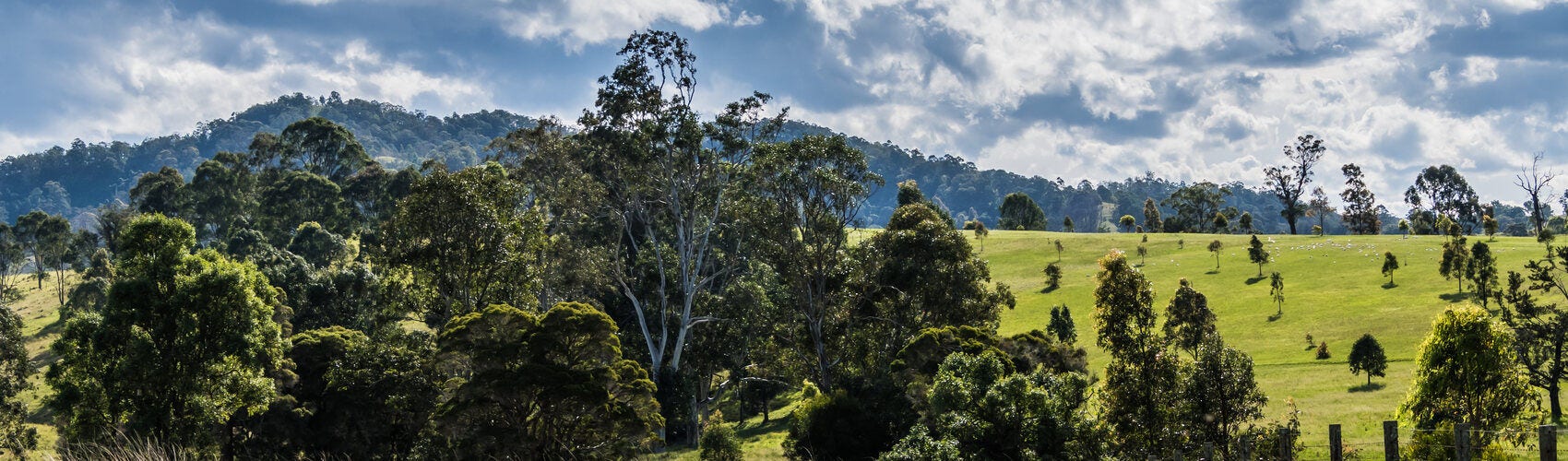 Meet the Goulburn & Sydney Team