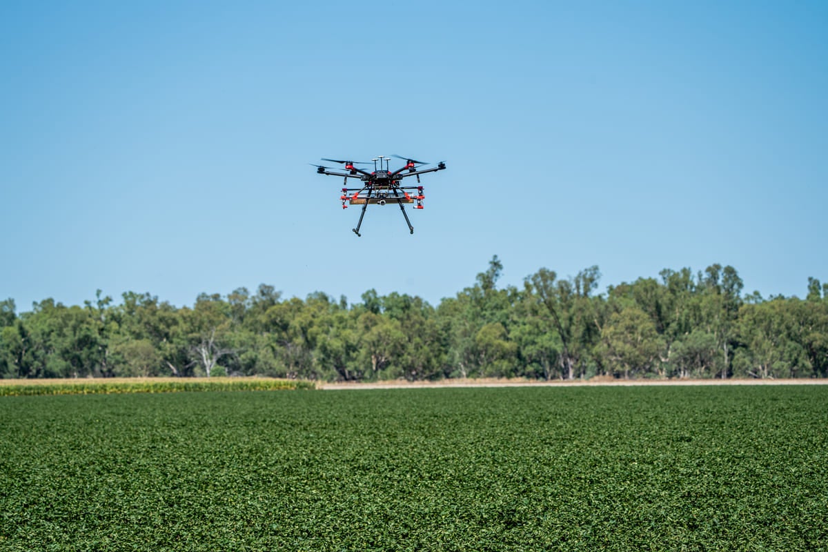 Integrating nature and profit for sustainable success