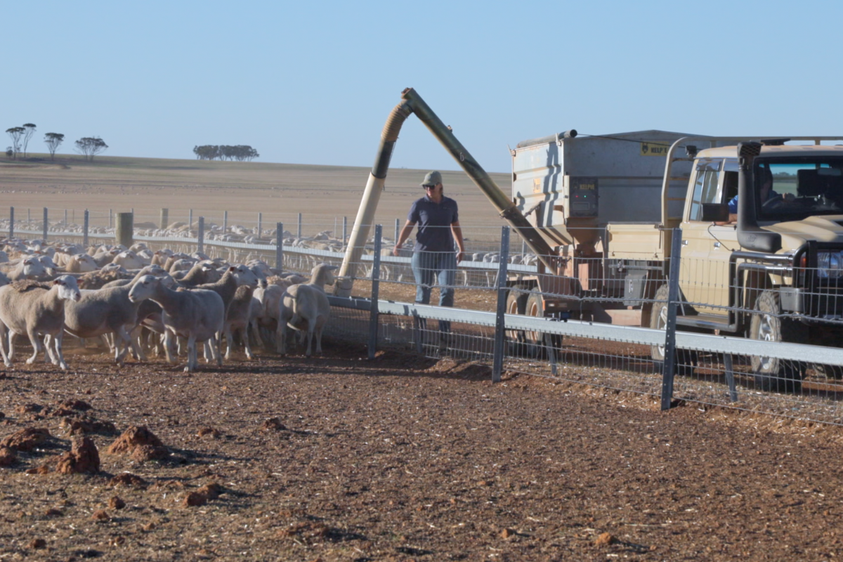 image-blog - kate-johnston-containment-feeding