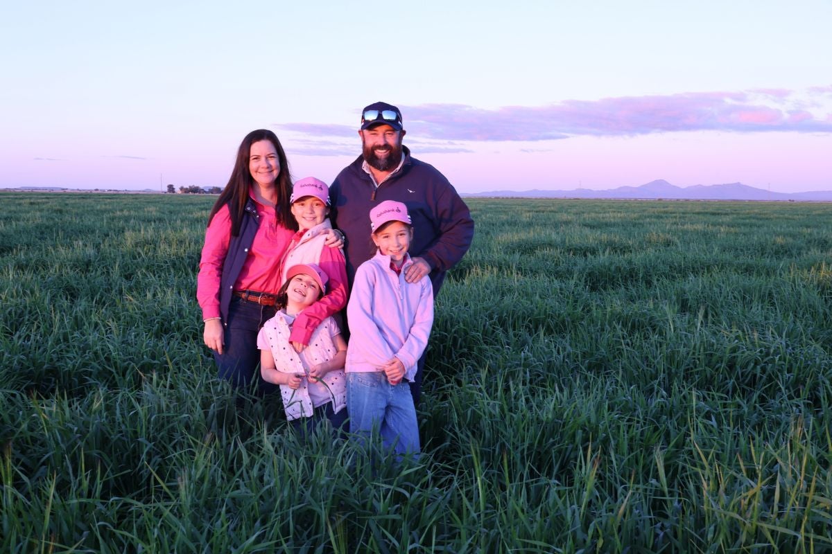 image-blog - luff-family