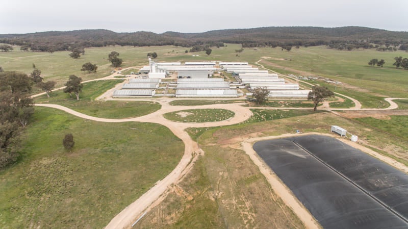 Blantyre Farms has evolved into a leading Australian agribusiness
