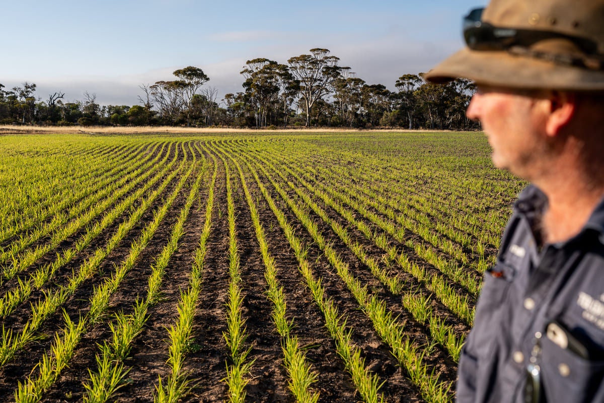 Building business and climate resilience