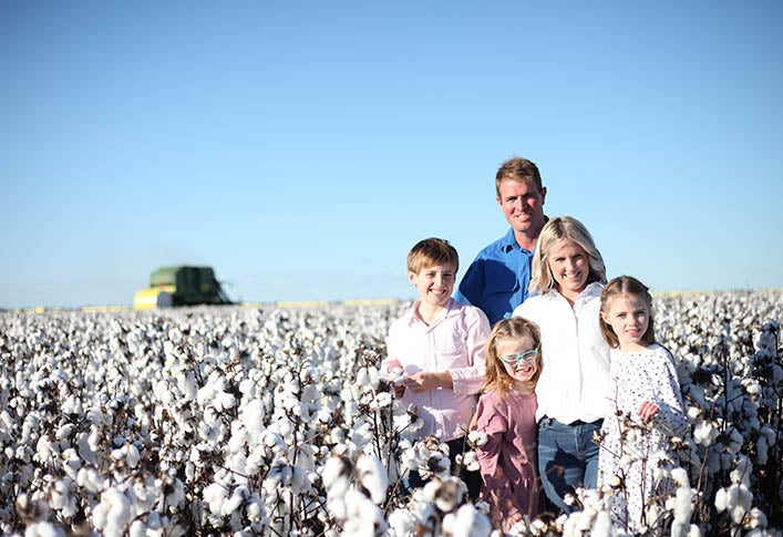 High Quality Cotton