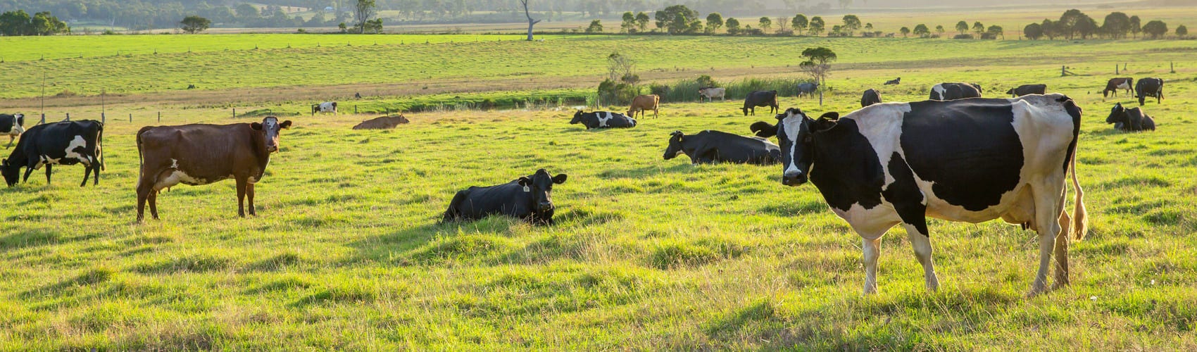 Meet the Warrnambool Team