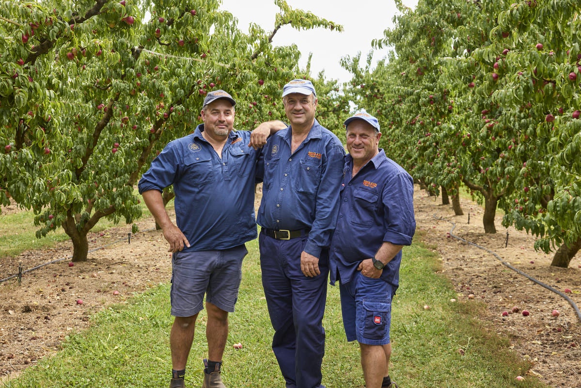 The Cathels family is proud to be growing a strong horticultural future together with the De Maio family, Nick, Peter and Vince.