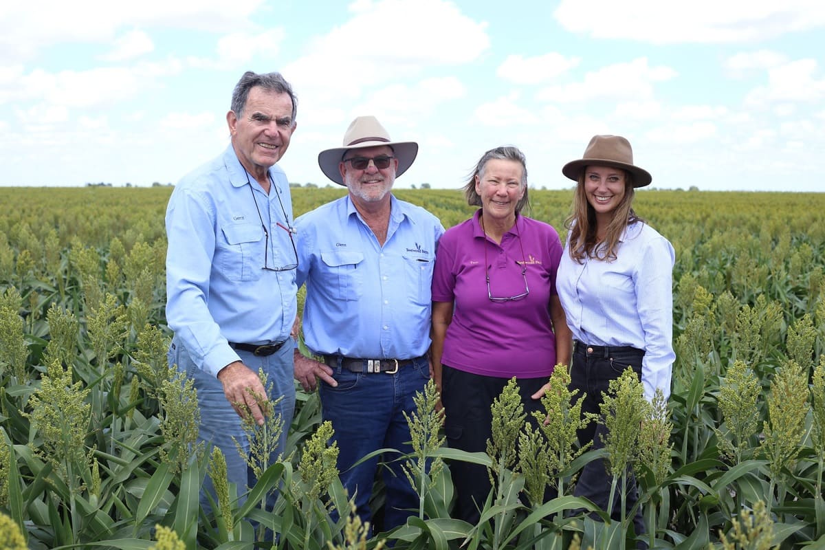 Gerrit with Beefwood manager, Glenn Coughlan, Pam and Rabobank NSW Marketing Manager, Eileen van Dulm in Beefwood’s 24/25 early summer sorghum crop