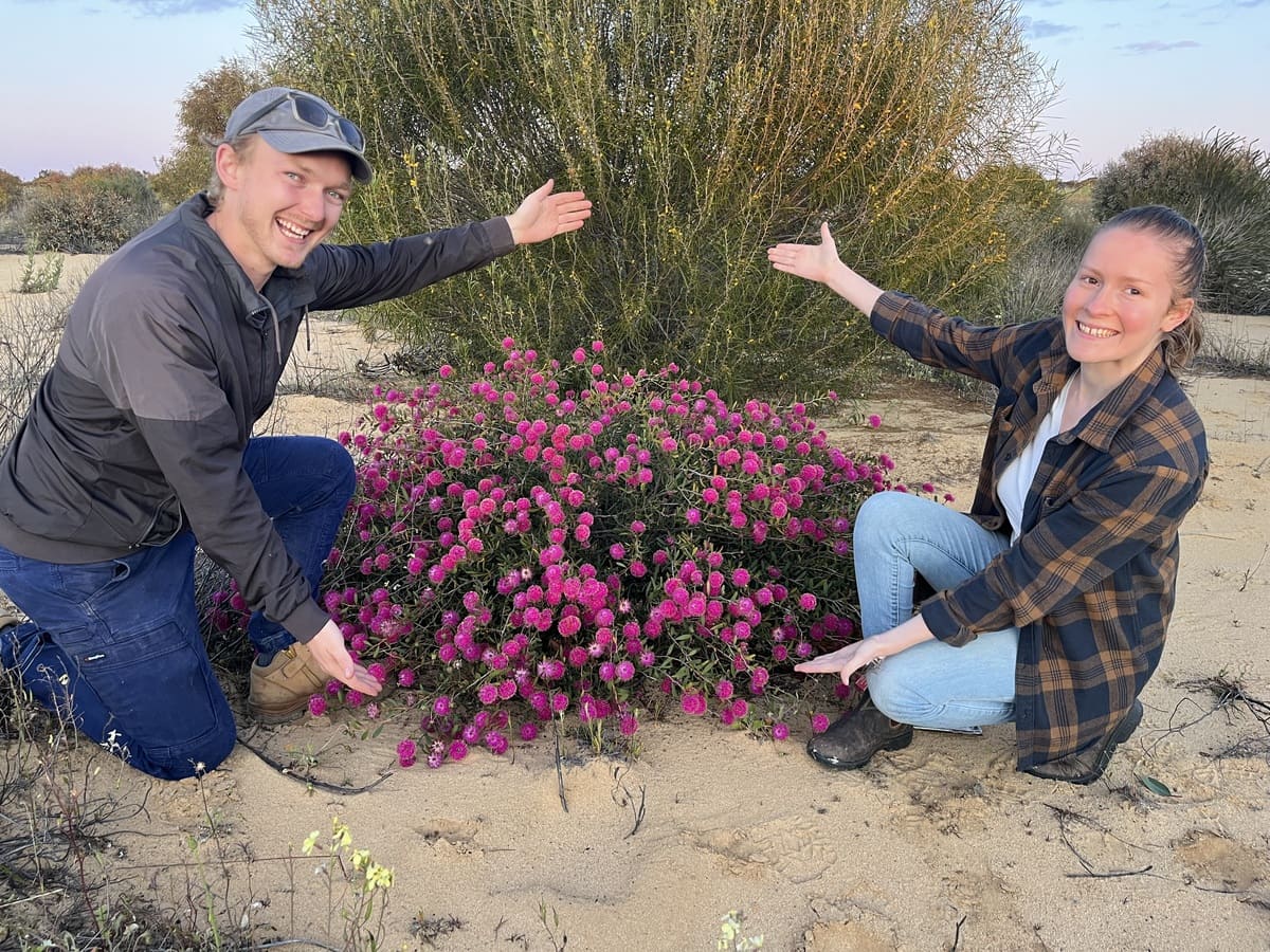 Looking forward, the Nixons who now have two grandsons on the farm with the return of their son and his fiancé, aim to continue to farm with best practice to enhance their natural capital.