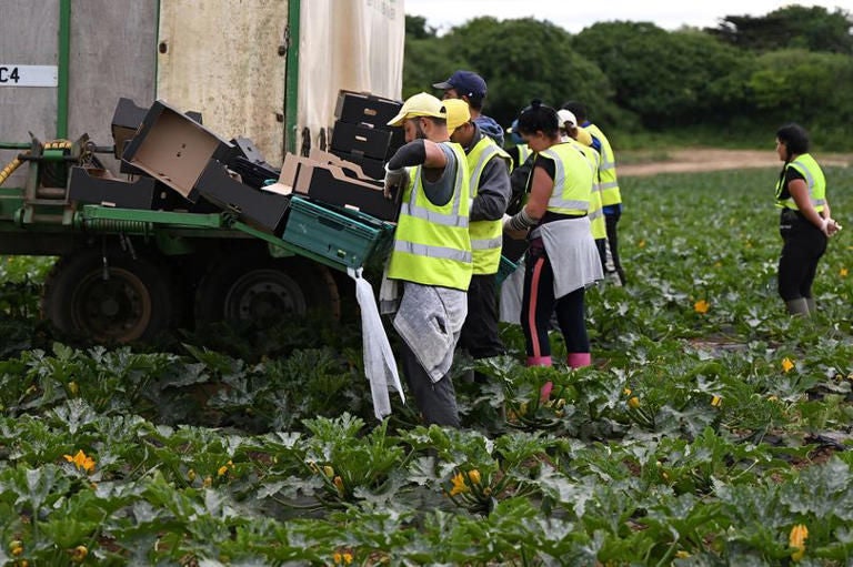 modern slavery