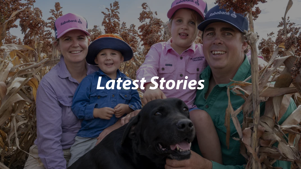 Website Thumbnails (524 x 276 px) (1280 x 720 px) - 3