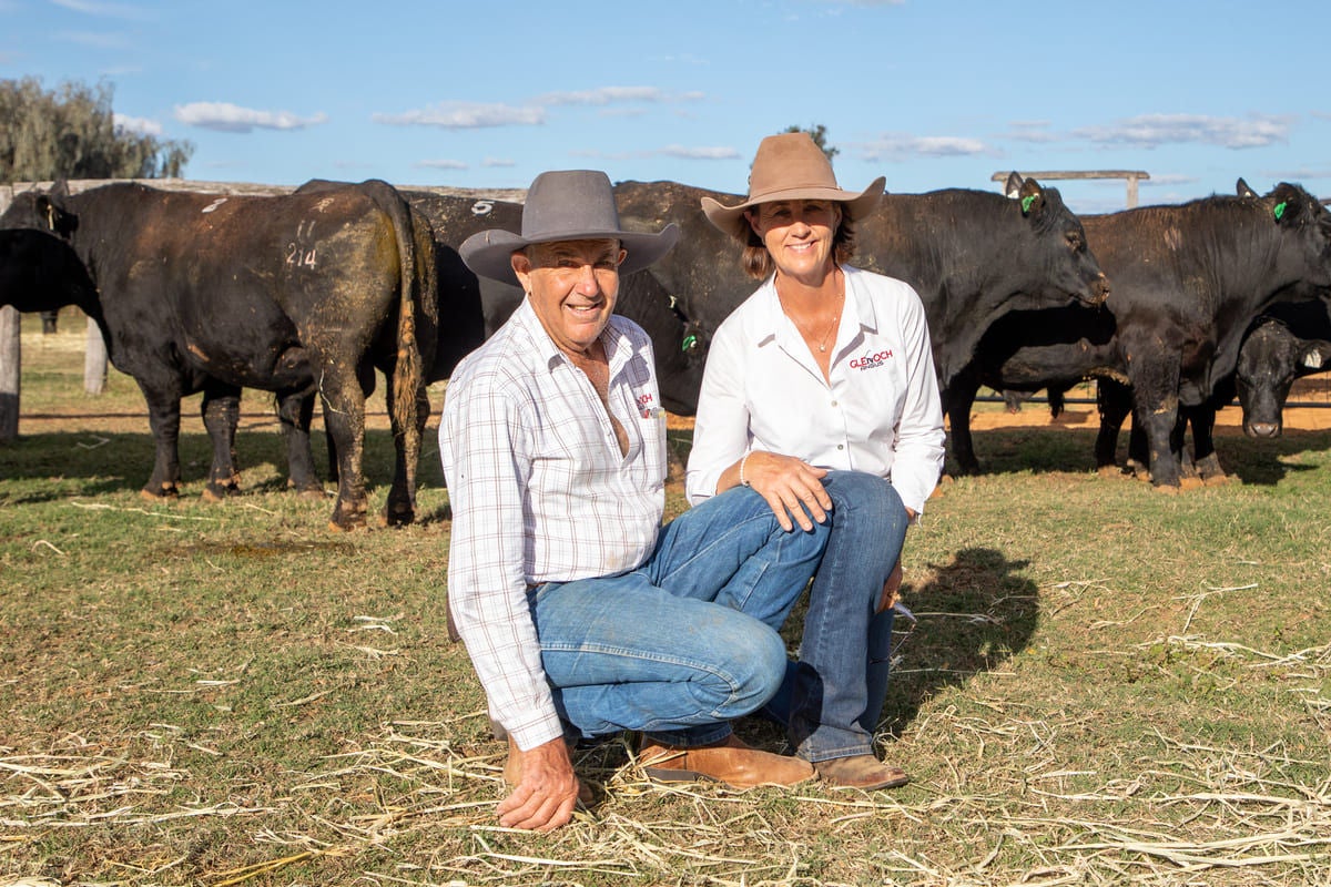 Roger and Tam Boshammer are passionate Angus breeders