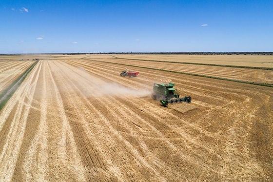 Gia Farming 