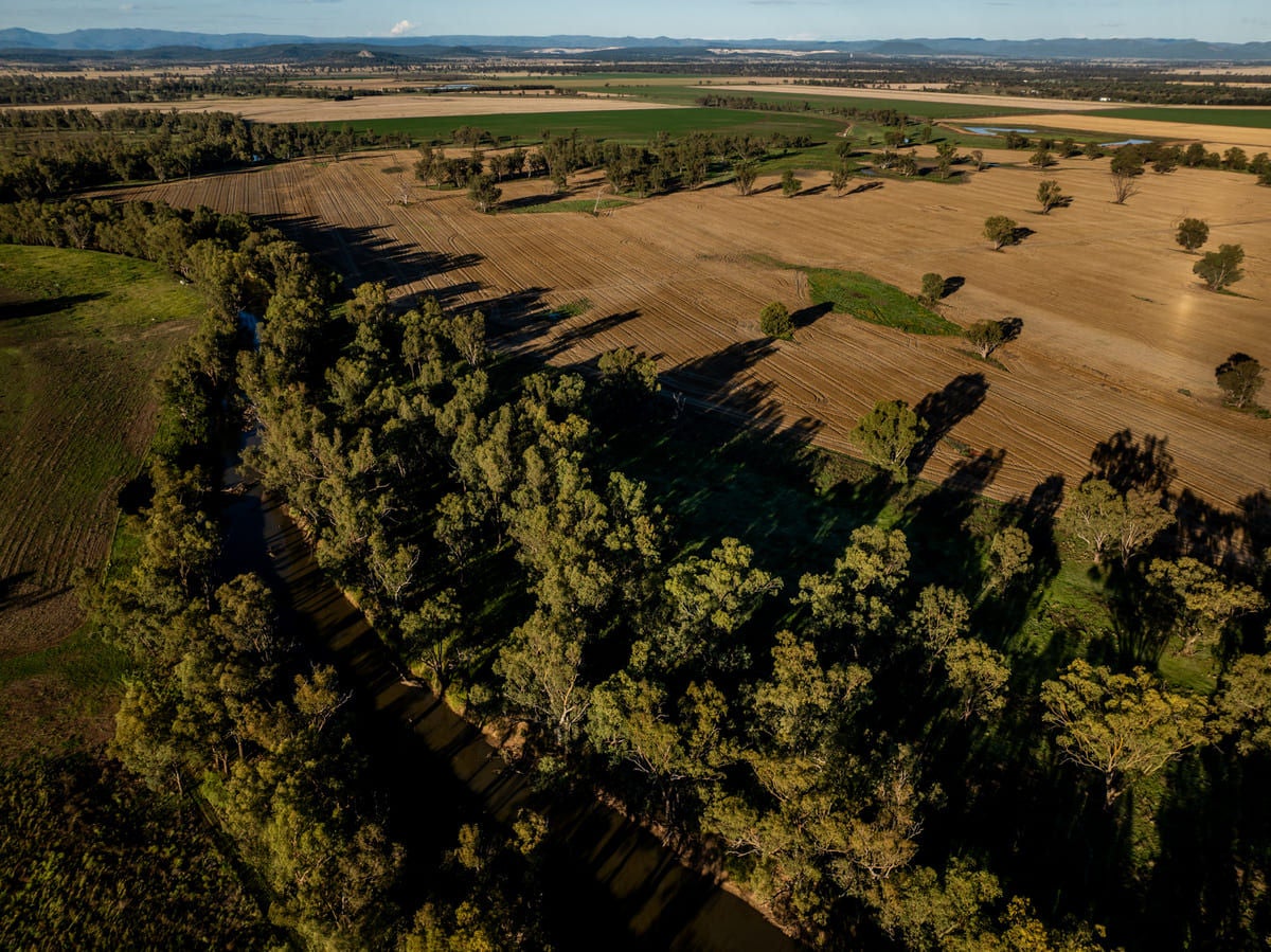 Integrating nature and profit for sustainable success