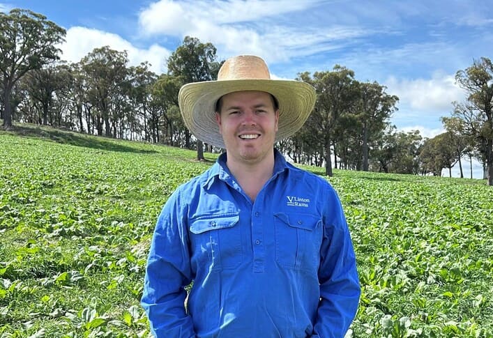 Weaving a strong global thread to underpin wool’s future 