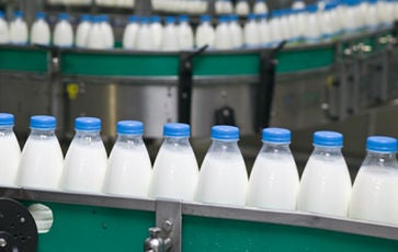 Milk
