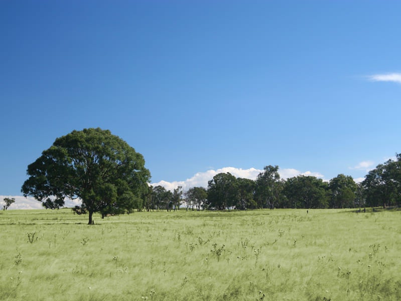 Rabobank Longreach branch