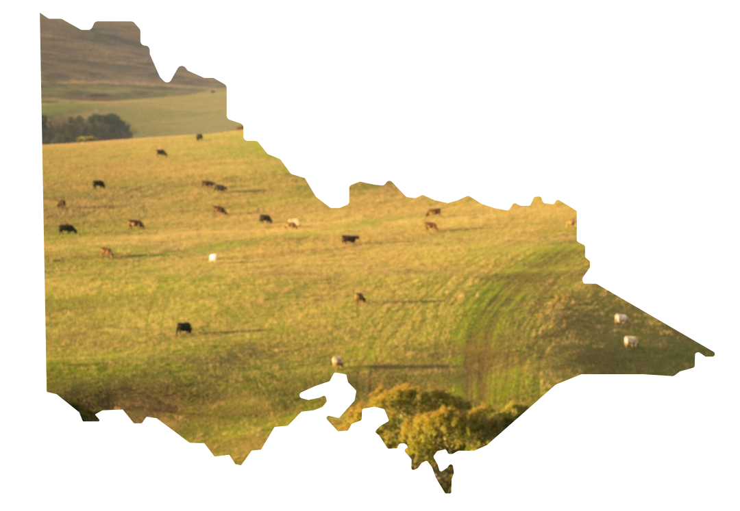 Land Values Outlook - VIC