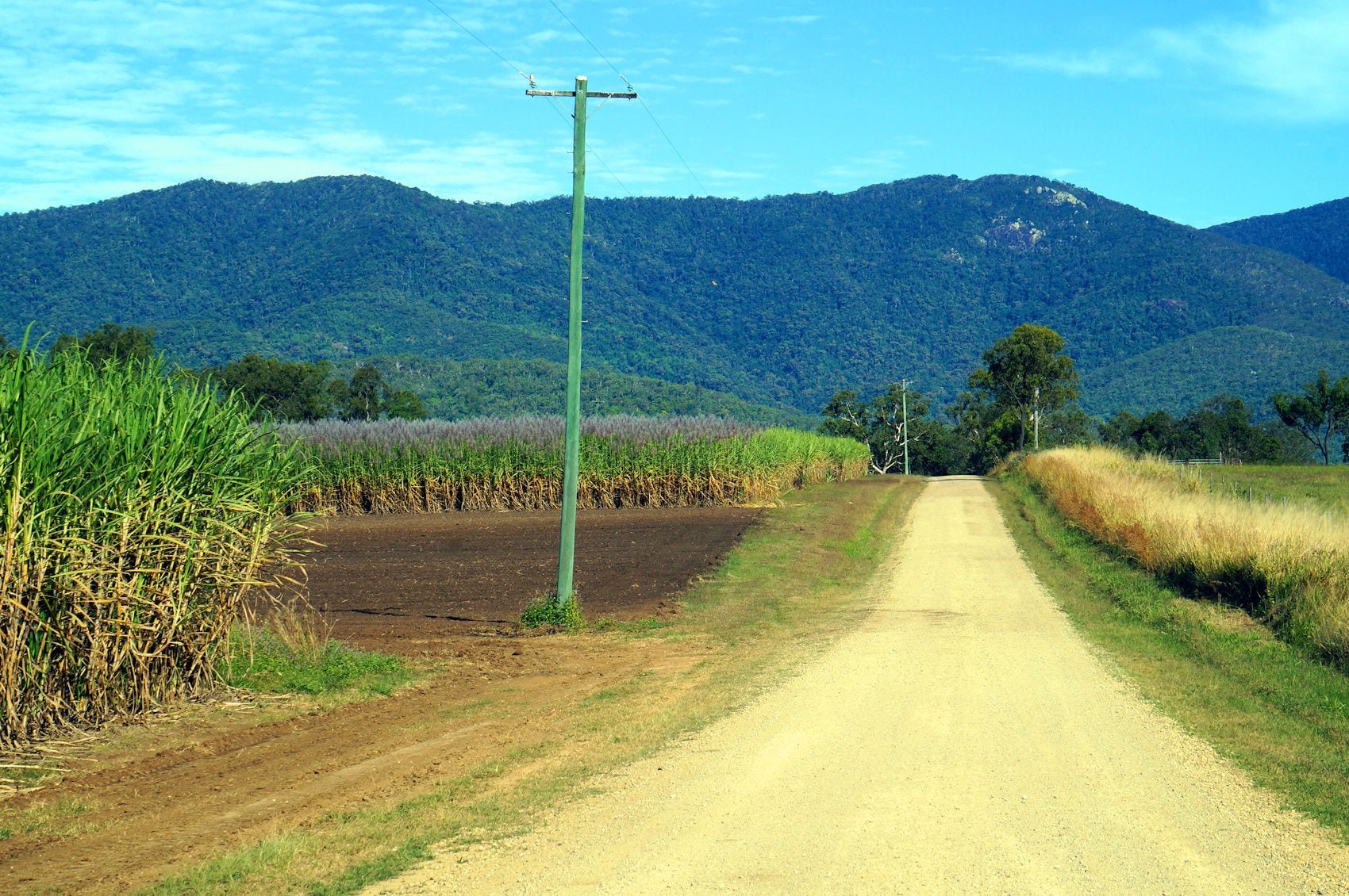 Mackay Branch