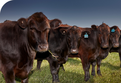 Milk Prices