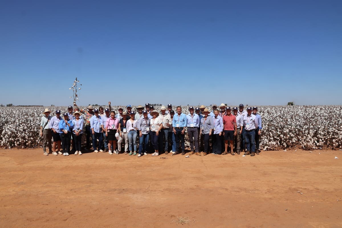The 2025 Brazil Cotton Tour Cohort
