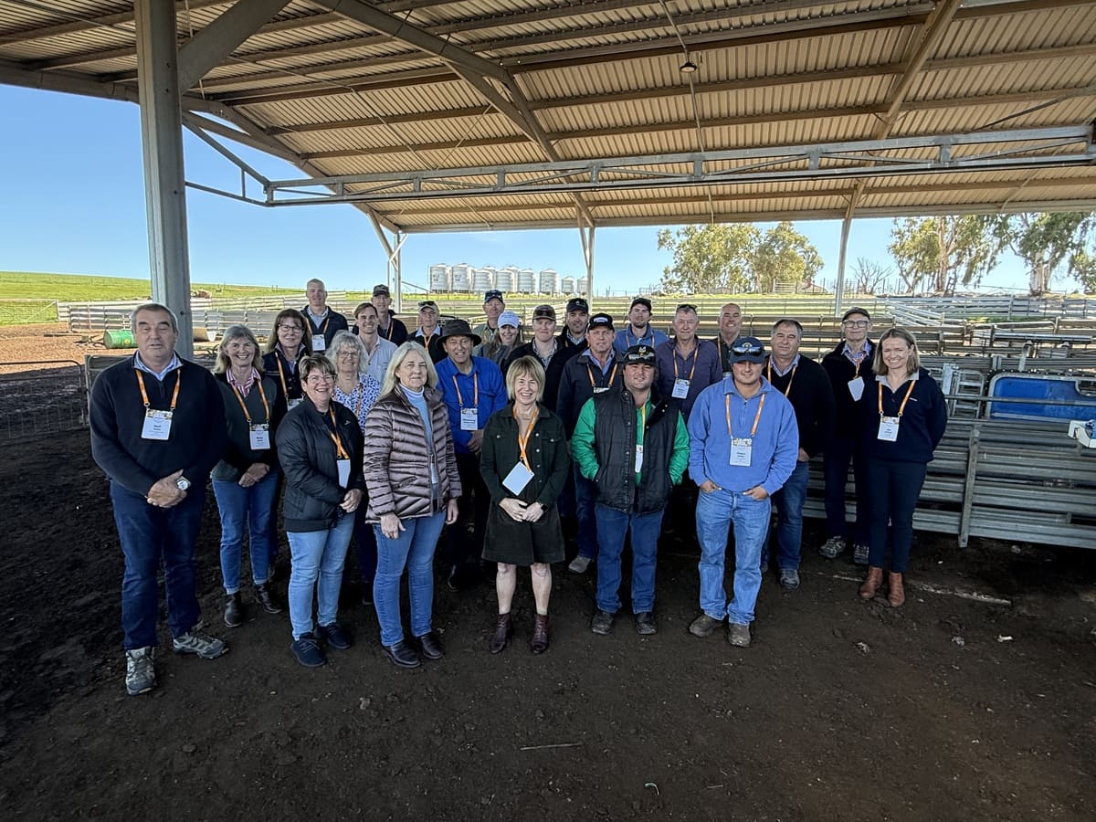The Rabobank WA Sheep and Wool Tour cohort visiting Murray Hall’s operation