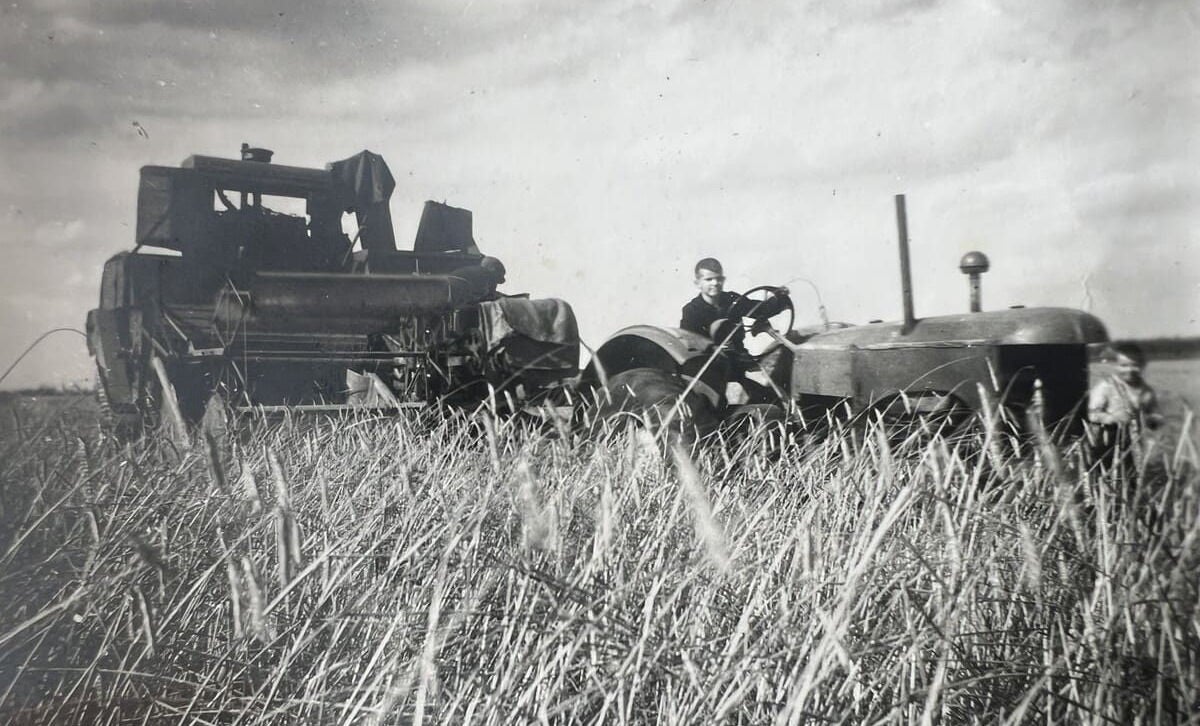 Gerrit harvesting with his father in 1956.