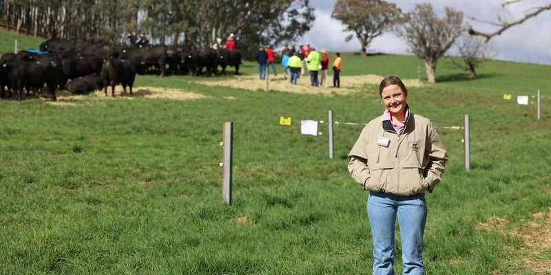 Becky Bulle, Androssan Angus