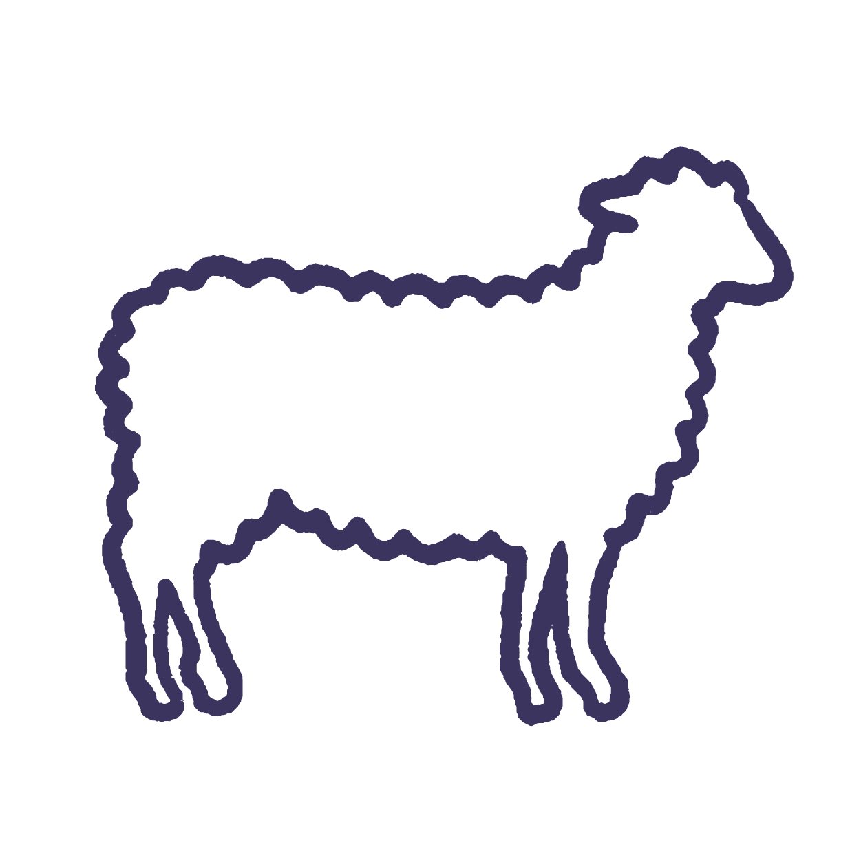 sheep & wool icon